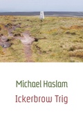 Cover: Ickerbrow Trig - Shearsman Books