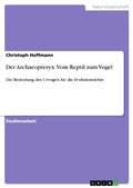 Cover: Der Archaeopteryx. Vom Reptil zum Vogel - GRIN Verlag
