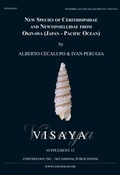Cover: New Species of Cerithiopsidae and Newtoniellidae from Okinawa (Japan - Pacific Ocean) - ConchBooks