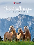 Cover: The Haflinger - Athesia-Tappeiner Verlag