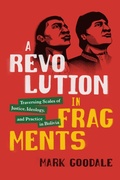 Cover: A Revolution in Fragments - De Gruyter