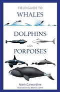 Cover: Field Guide to Whales, Dolphins and Porpoises - Bloomsbury Wildlife