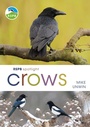 Cover: RSPB Spotlight Crows - Bloomsbury Wildlife