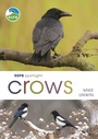 Cover: RSPB Spotlight Crows - Bloomsbury Wildlife