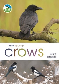 Enlarge image Cover: RSPB Spotlight Crows - Bloomsbury Wildlife