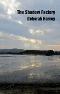 Enlarge image Cover: The Shadow Factory - Indigo Dreams Publishing