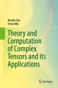Bild: Theory and Computation of Complex Tensors and its Applications - Springer