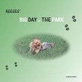 Cover: Reeses' BIG DAY at THE PARK - Cbj Entertainment
