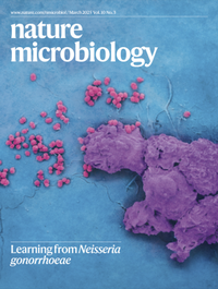 Bild: Nature Microbiology - Nature Portfolio
