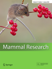 Bild: Mammal Research - Springer
