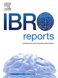 Abbildung von: IBRO Reports - Elsevier
