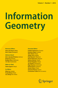 Bild: Information Geometry - Springer