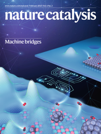 Abbildung von: Nature Catalysis - Nature Portfolio