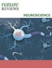 Abbildung von: Nature Reviews Neuroscience - Nature Portfolio