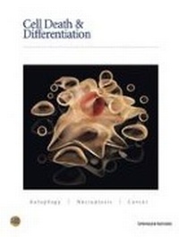 Abbildung von: Cell Death & Differentiation - Springer