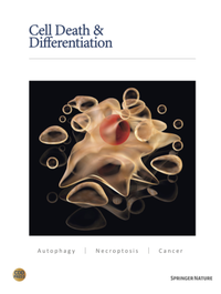 Bild: Cell Death & Differentiation - Springer