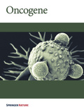 Bild: Oncogene - Springer