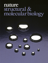 Bild: Nature Structural & Molecular Biology - Nature Portfolio