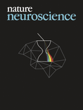 Abbildung von: Nature Neuroscience - Nature Portfolio