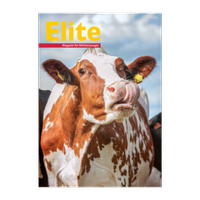 Abbildung von: Elite - Landwirtschaftsverlag