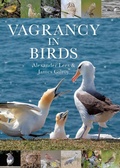 Bild: Vagrancy in Birds - Helm