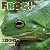 Abbildung von: Frog! 2020 Mini Wall Calendar - Wall Publishing