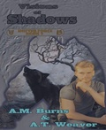 Cover: Visions of Shadows - Mystichawker Press