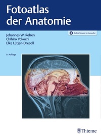 Abbildung von: Fotoatlas der Anatomie - Thieme