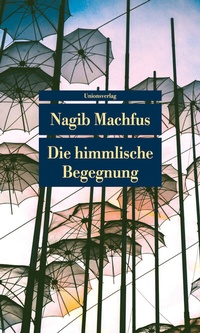 Abbildung von: Die himmlische Begegnung - Unionsverlag
