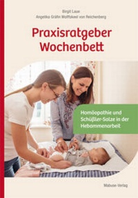 Abbildung von: Praxisratgeber Wochenbett. Beschwerden lindern und vorbeugen. - Mabuse