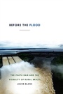 Cover: Before the Flood - De Gruyter