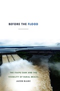 Cover: Before the Flood - De Gruyter
