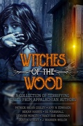 Cover: Witches of the Wood - Big Small Town Books