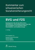 Cover: BVG und FZG - St&auml;mpfli Verlag AG