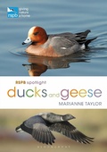 Cover: RSPB Spotlight Ducks and Geese - Bloomsbury Wildlife