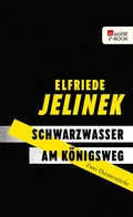 Cover: Schwarzwasser. Am K&ouml;nigsweg. - Rowohlt