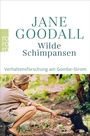 Cover: Wilde Schimpansen - Rowohlt Taschenbuch