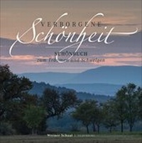 Abbildung von: Verborgene Schönheit - Silberburg