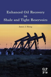 Abbildung von: Enhanced Oil Recovery in Shale and Tight Reservoirs - Gulf Professional Publishing