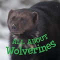 Cover: All about Wolverines - Inhabit Media Inc