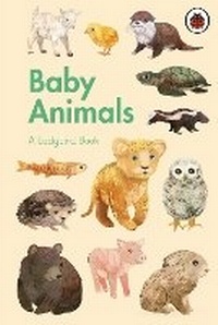 Enlarge image Cover: A Ladybird Book: Baby Animals - Ladybird