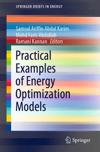 Enlarge image Cover: Practical Examples of Energy Optimization Models - Springer