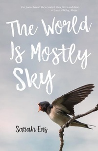 Enlarge image Cover: The World Is Mostly Sky - Turnstone Press