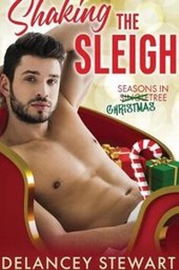 Enlarge image Cover: Shaking the Sleigh - Delancey Stewart Books