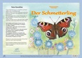 Cover: Natur-Kamishibai / Natur-Kamishibai - Der Schmetterling - Fischer-Nagel, H