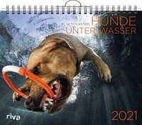 Abbildung von: Hunde unter Wasser 2021 - Riva