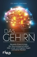 Bild: Das Gehirn - Riva