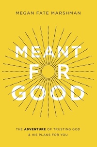 Enlarge image Cover: Meant for Good - Zondervan