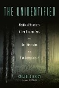 Cover: The Unidentified - Viking
