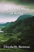 Cover: A Different Shade of Seeing - Linellen Press